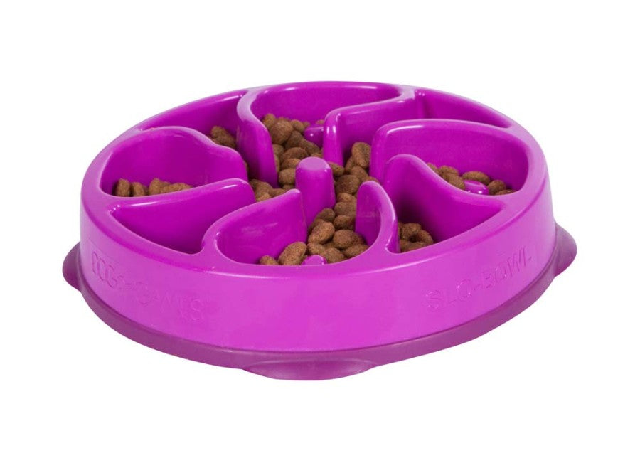 Outward Hound Fun Feeder Slo-Dog Bowl