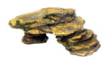 Weco Products Wecorama Galapagos Silver Shale Ramp Terrarium Ornament