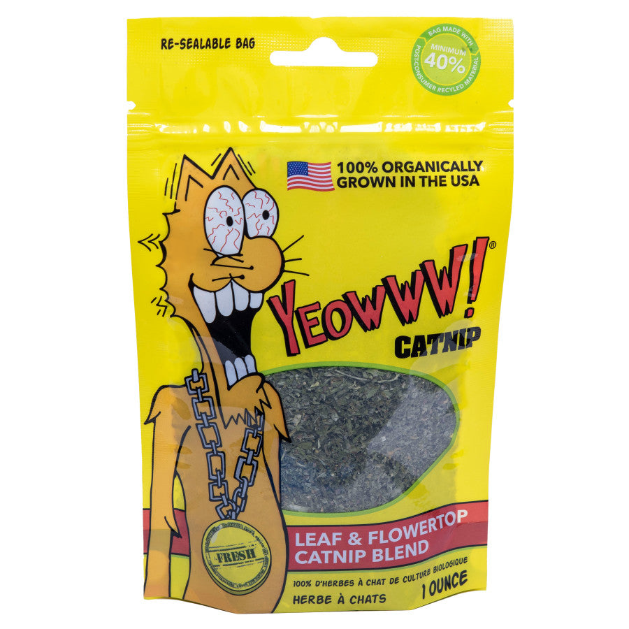 Yeowww! Catnip