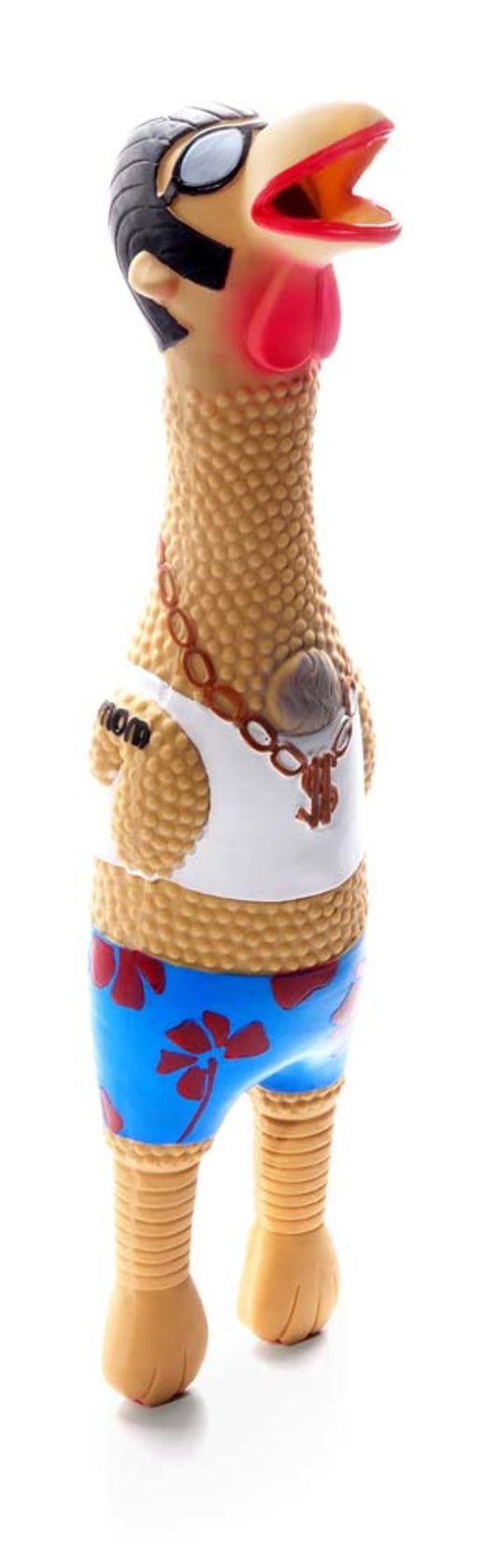 Charming Pet Products Squawkers Earl Dog Toy