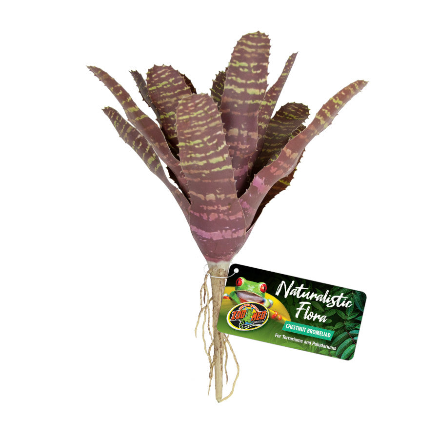Zoo Med Naturalistic Flora Chestnut Bromeliad Terrarium Plant