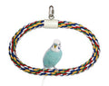 JW Pet Swing N Perch Ring