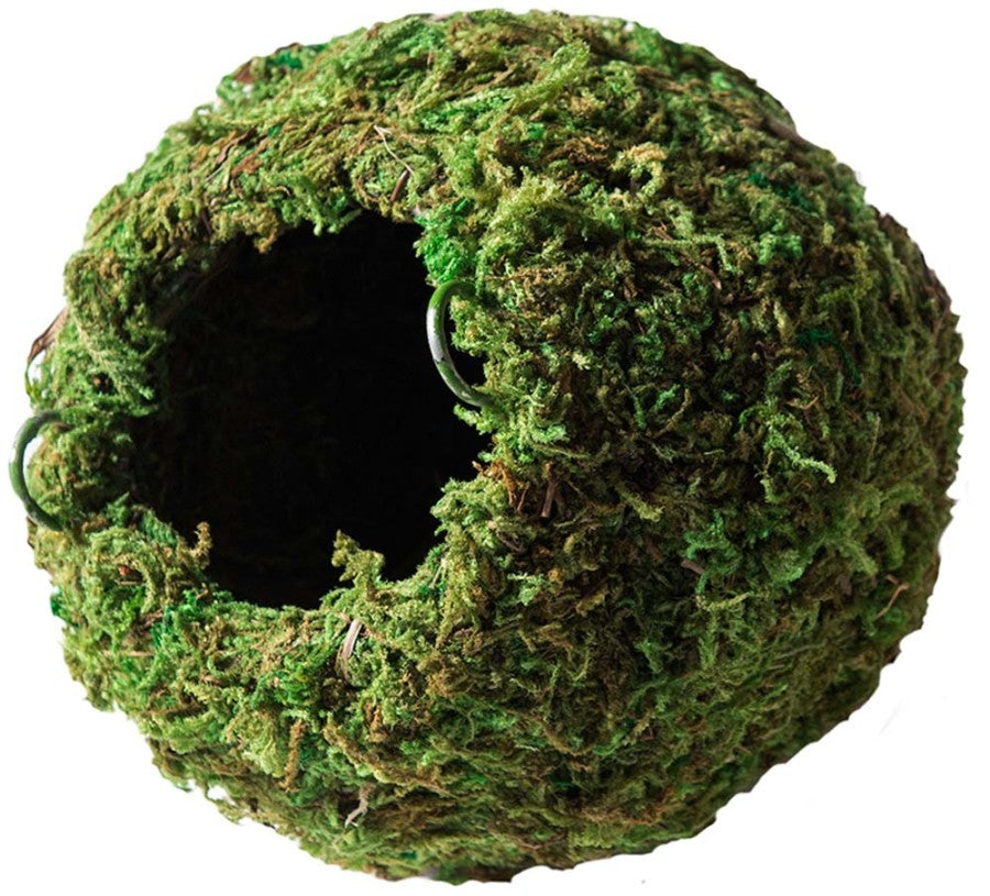 Galapagos Mossy Cave Terrarium Hideaway