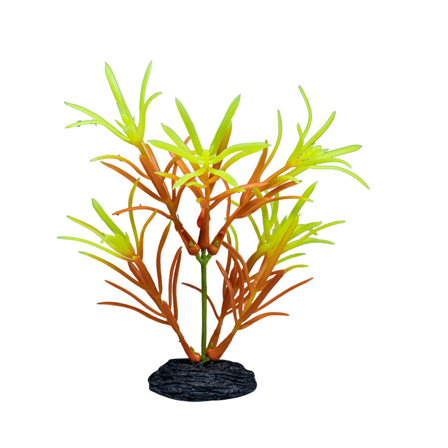 GloFish Ombre Leaf Aquarium Plant