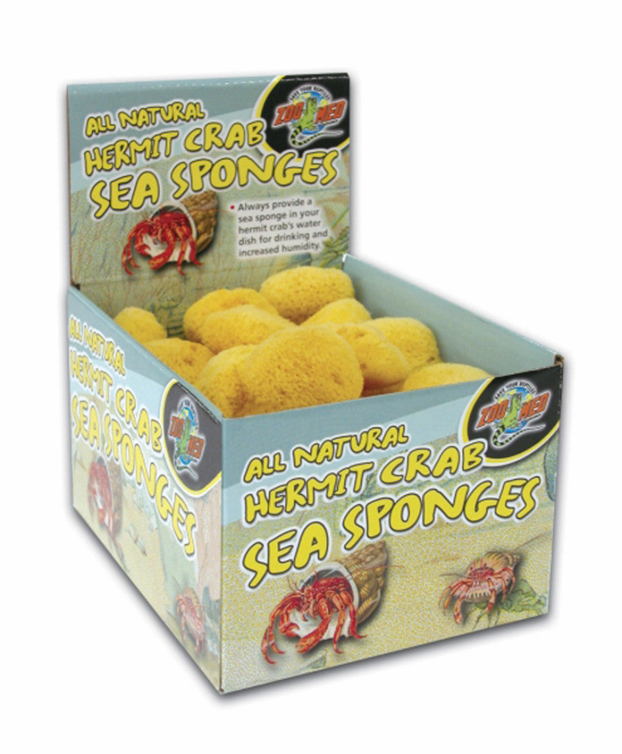 Zoo Med All Natural Hermit Crab Sea Sponge