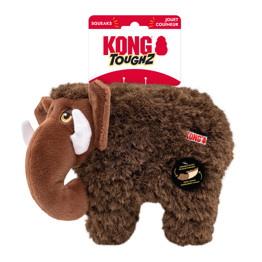 KONG Toughz Dog Toy