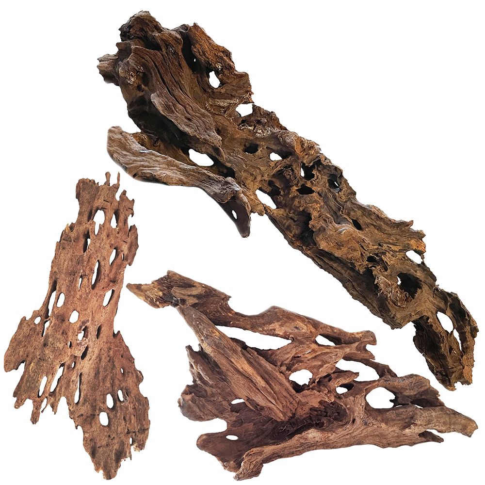 Pisces USA Pisces Honeycomb Wood Med 11-15in