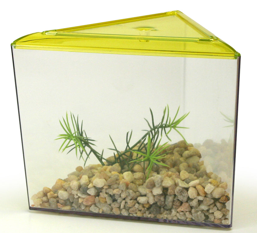 Lee's Aquarium Betta Keeper, Triangle with Lid, Gravel and Plant