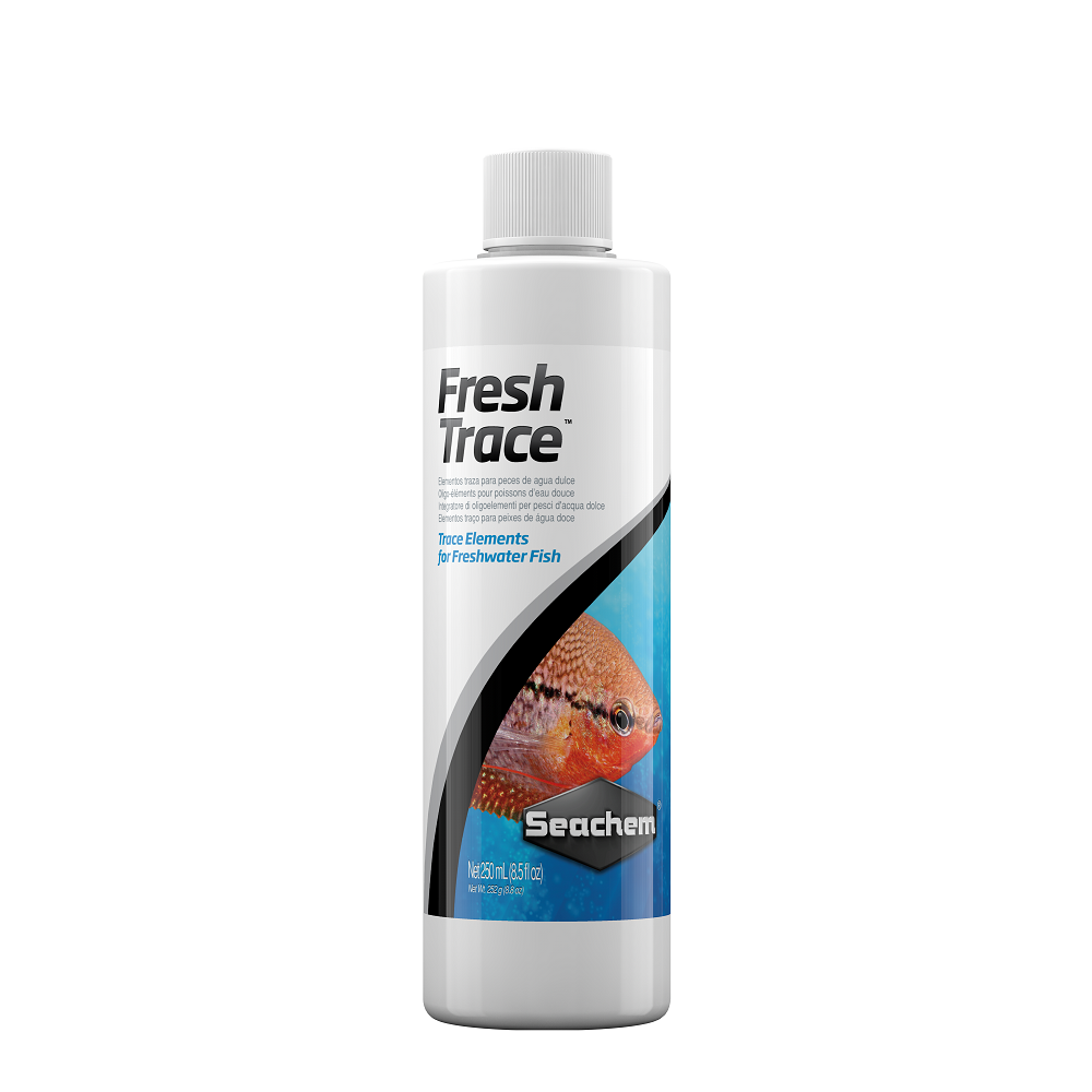 Fresh Trace
