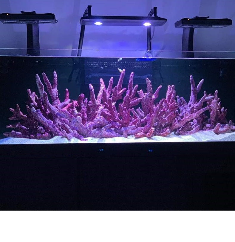 Real Reef Real Reef Rock Branch 35lbs