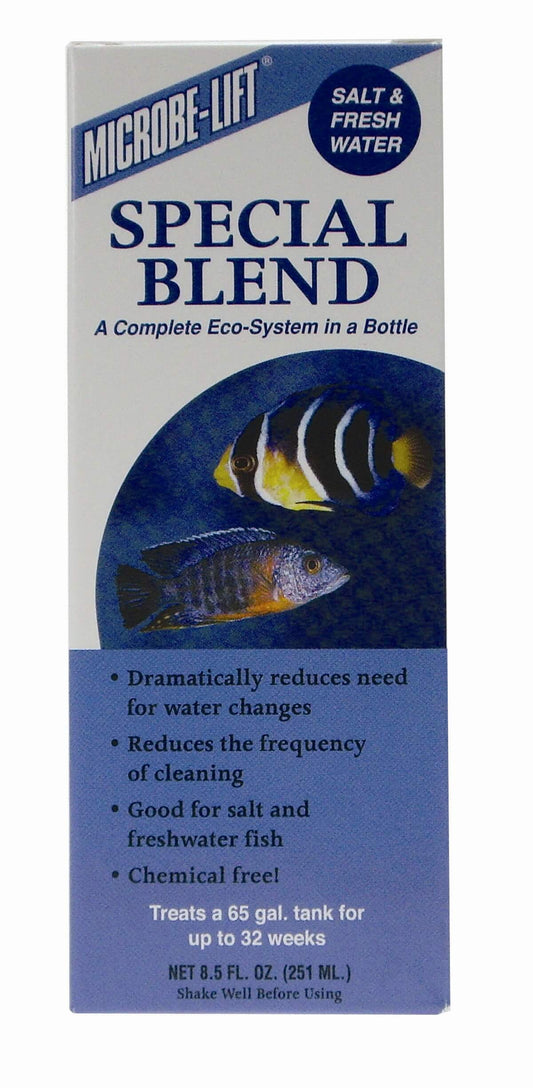 Special Blend 16oz