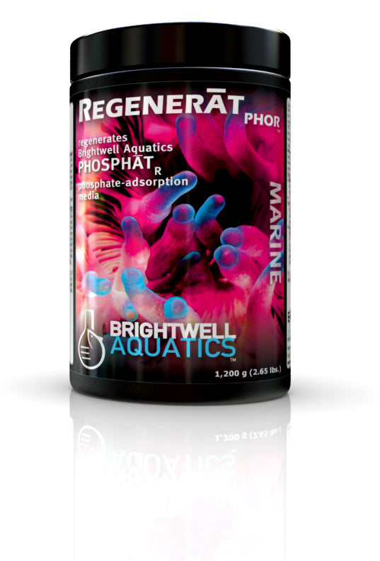 Brightwell RegeneratPHOR