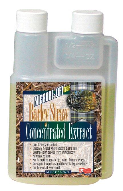 Barley Straw Extract 8oz