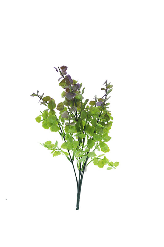 12" Fagus Bush - Purple