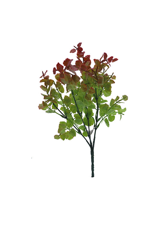 Tideline Naturescapes 12" Fagus Bush - Red
