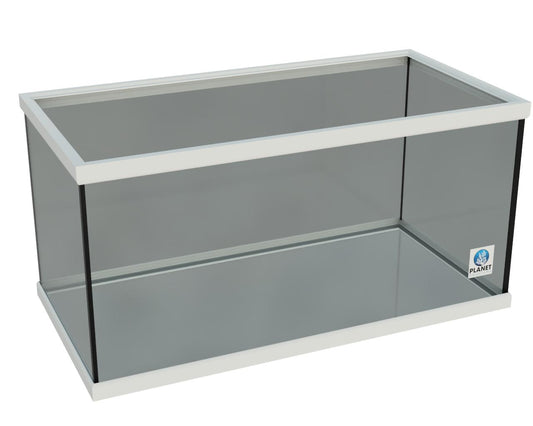 OceanVue 50 Show Trimmed - White Frames