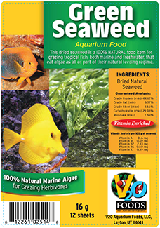V2O Aquarium Green Seaweed