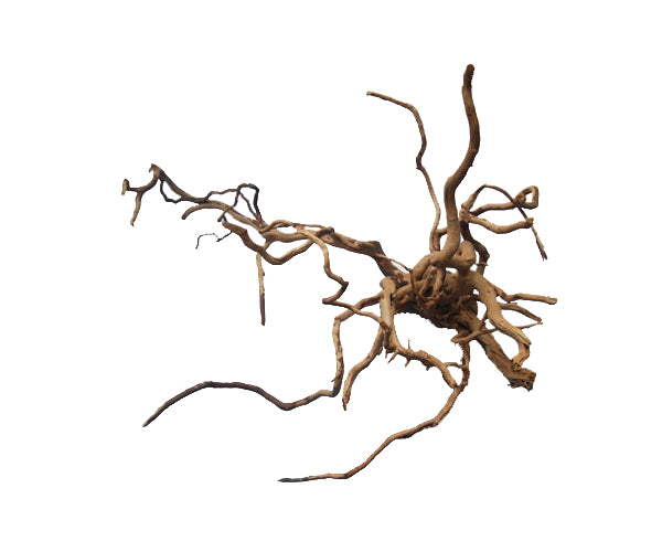 Spider Wood 24"-30" XXL