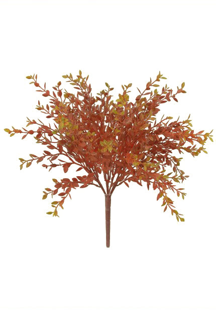 Tideline Naturescapes 13" Mini Boxwood Bush x3 Red