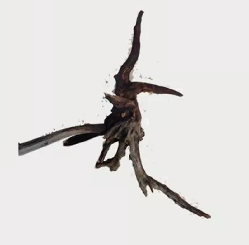 Tideline Naturescapes Saba Wood XL