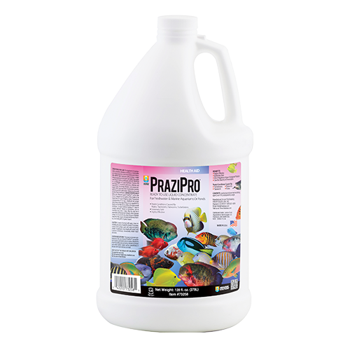 Hikari Prazipro Parasite Treatment 1Gal