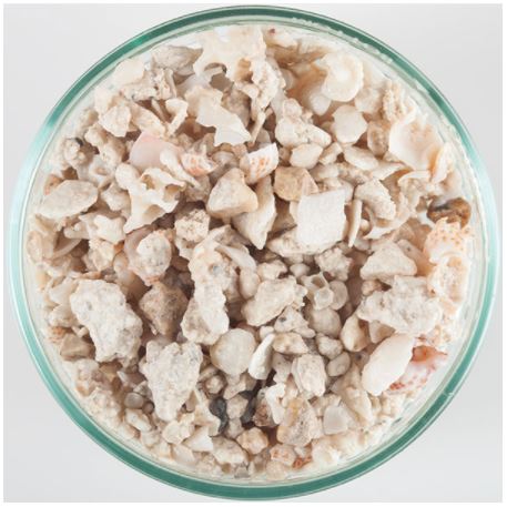 Flordia Crushed Coral 10 lb