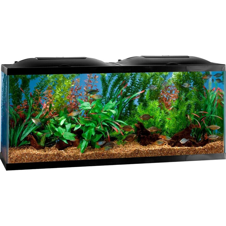 Marineland BIO-Wheel LED Aquarium 55