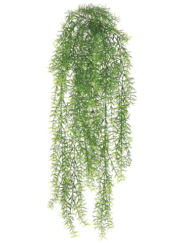 30" Sprengeri Hanging Bush Green