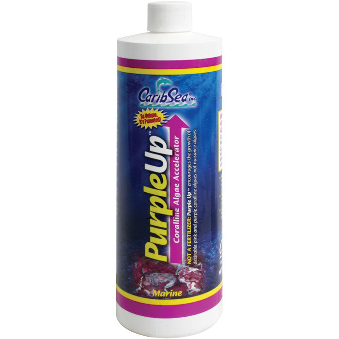 Purple-Up 16oz