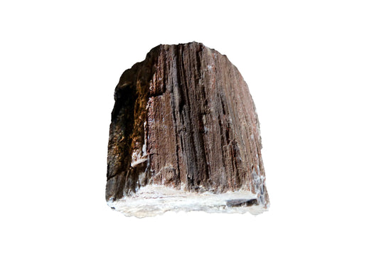 Wooden Fossil Stone (Petrified Wood Stone) 44lbs