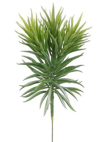 7" Senecio Pick Green