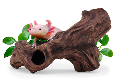 AquaVitro Ceramic Hide B3
