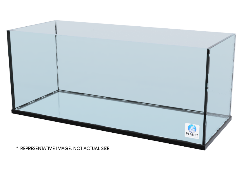 Planet Aquariums Rimless 48.5 x 24.5 x 24.75 Show Aquarium
