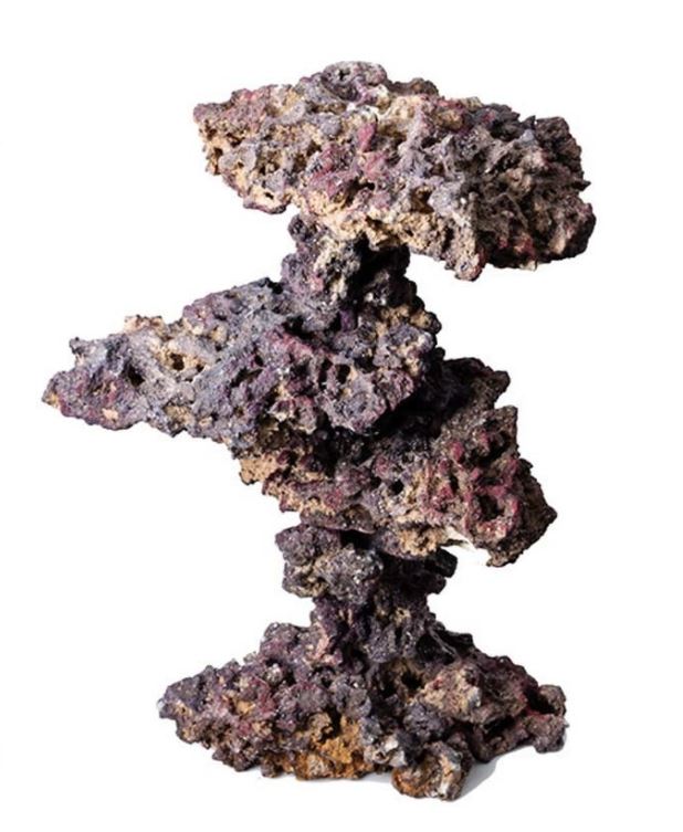 LifeRock Coral Tree Kit