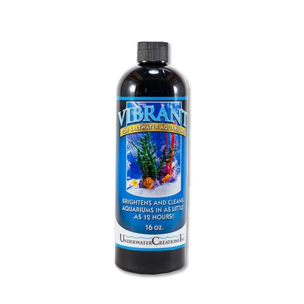 Saltwater Vibrant 16oz