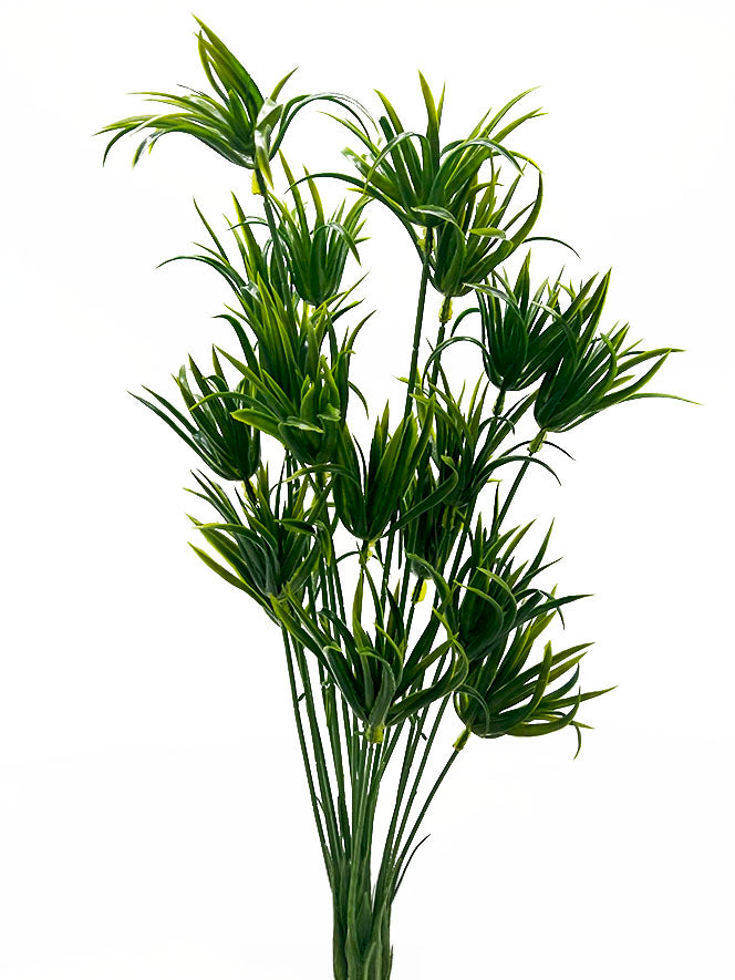 Tideline Naturescapes 25" Papyrus