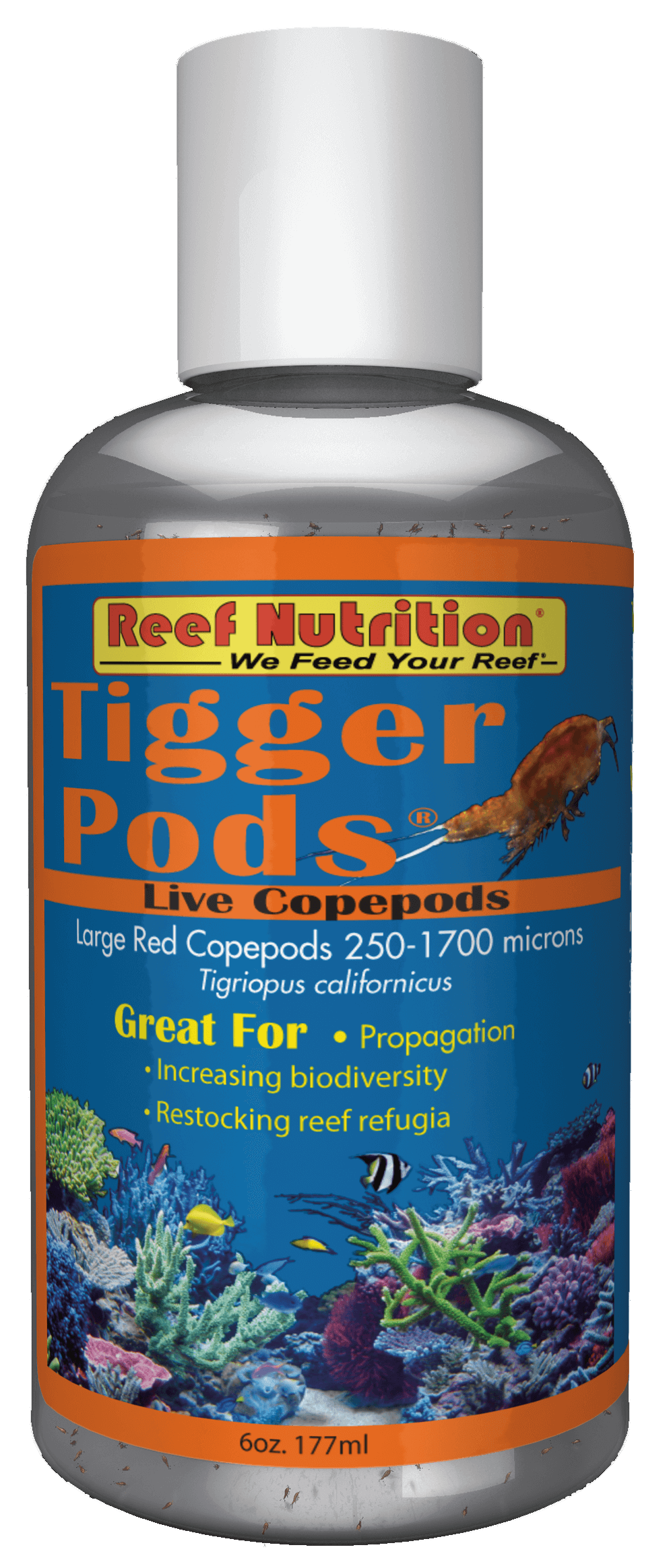 Reef Nutrition Tigger Pods 6oz (Live)