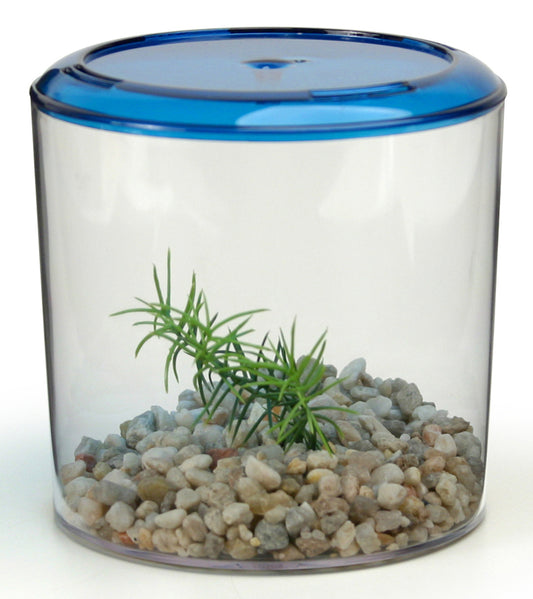 Lee's Aquarium Betta Keeper, Round with Lid, Gravel and Plant