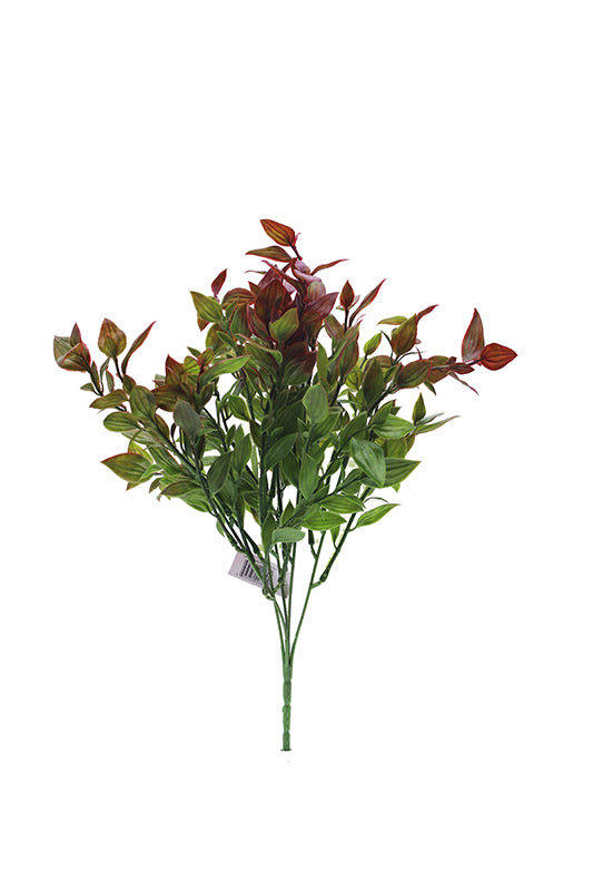 Tideline Naturescapes 12" Laurel Bush