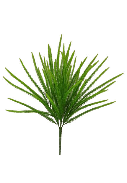 Tideline Naturescapes 7.5" Millet Grass Bush x 5 Green