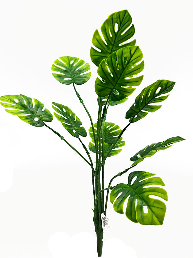 Tideline Naturescapes 20" Monstera