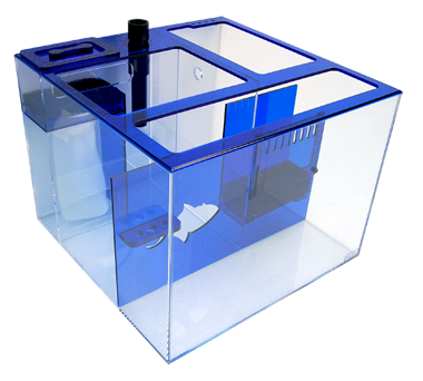 Sapphire Cube 20" x 20"