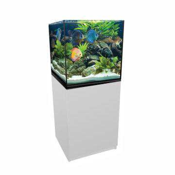 AquaTop Forza Cube Bundled Tank 21"x21"x21"