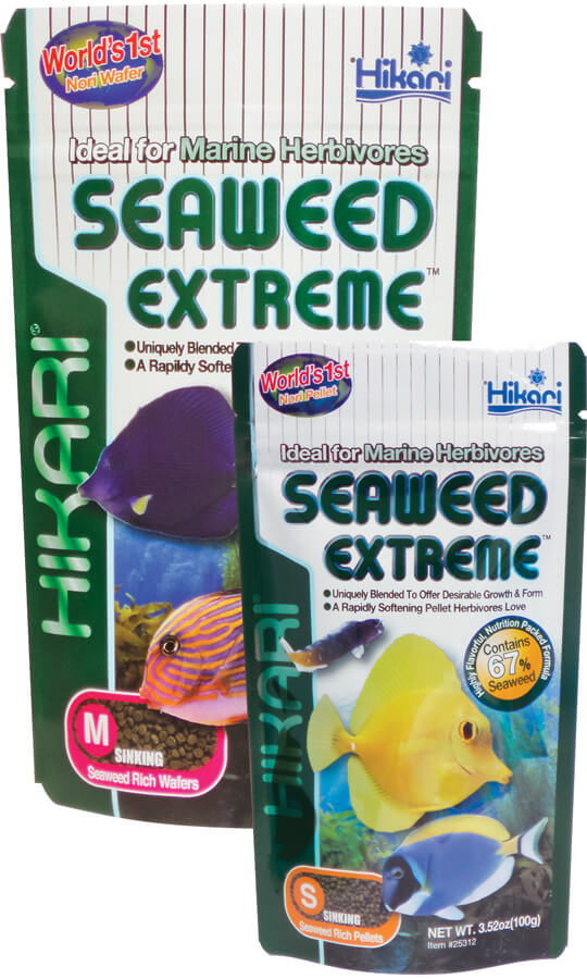 Hikari Seaweed Extreme Medium Pellets