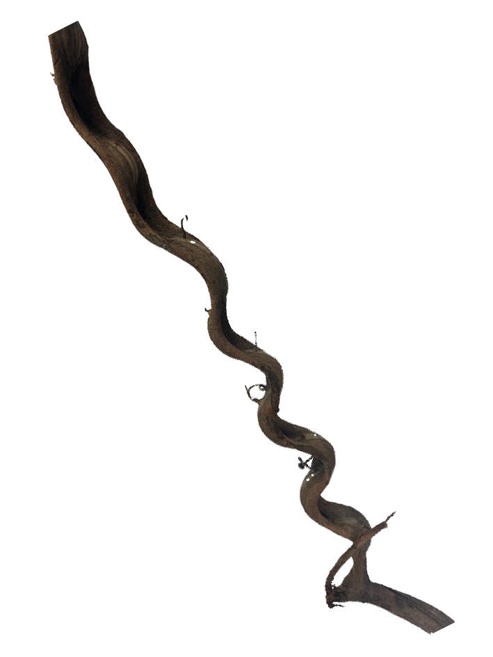 Tideline Naturescapes Twisted Branch XL