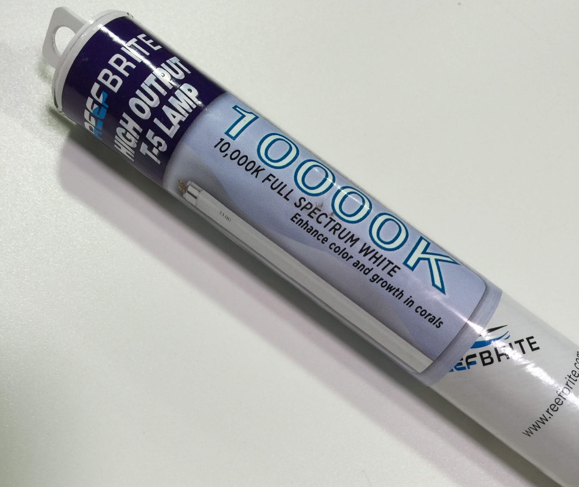 10K Bulb T5 24w