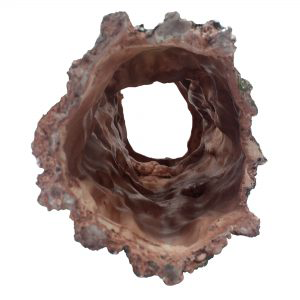 Komodo Forest Log - Small