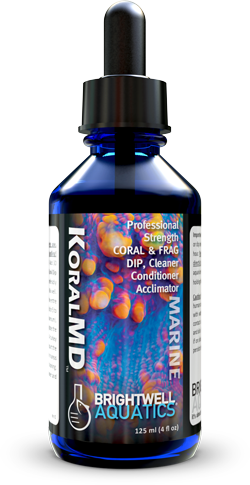 Brightwell Koral MD Pro