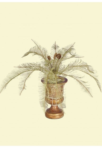 Tideline Naturescapes 17.3" Needle Fern Bush x 18 - OI