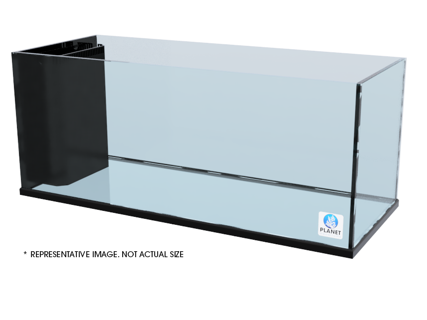 Planet Aquariums Rimless 96 x 18.5 x 24.75 Peninsula Aquarium